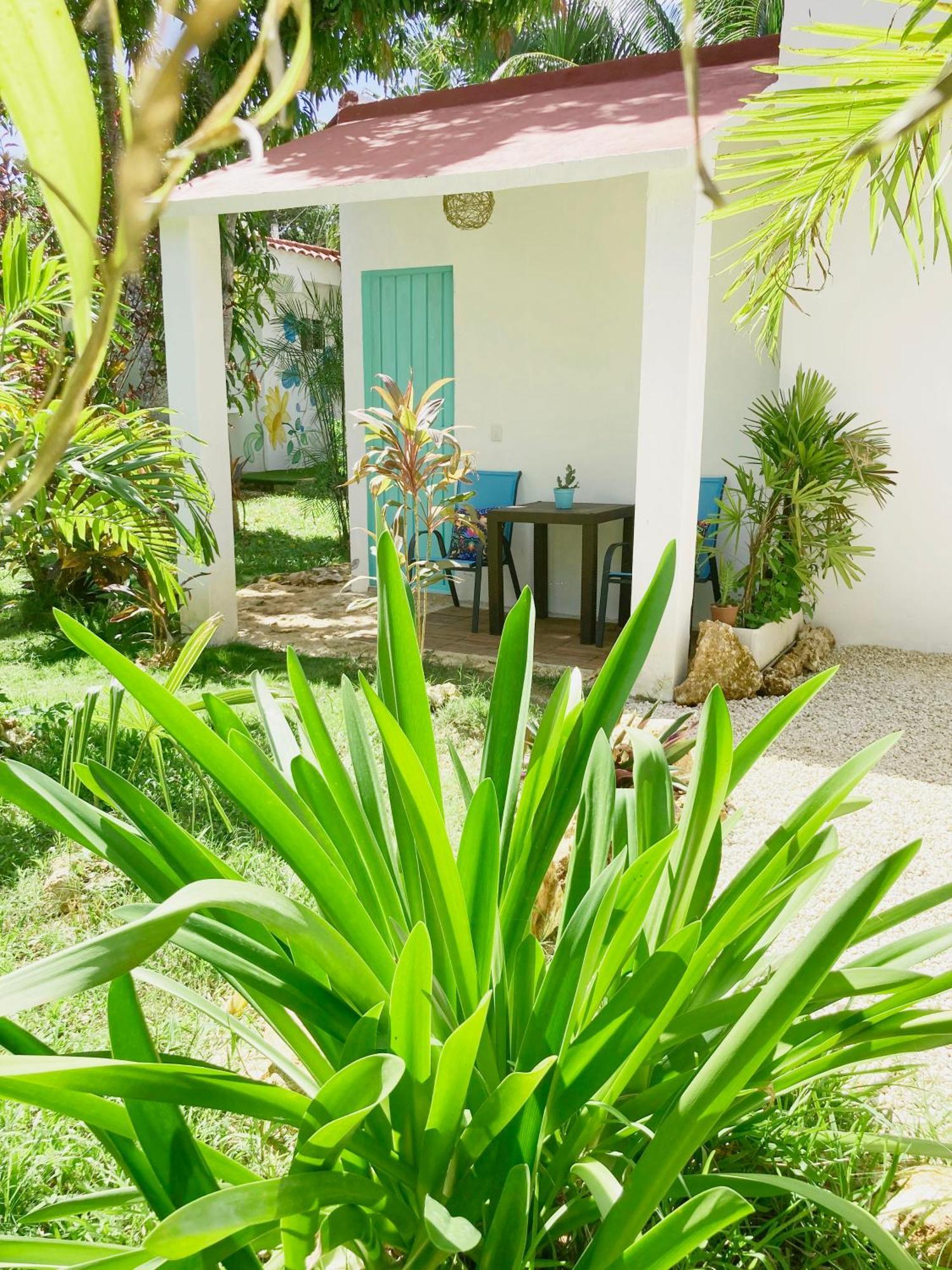 Green Paradise Leona Vicario Exteriér fotografie